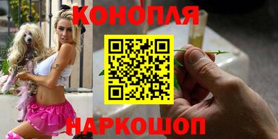 МДПВ Новозыбков