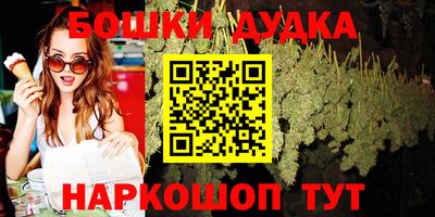 МДПВ Новозыбков