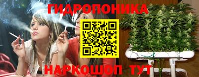 МДПВ Новозыбков