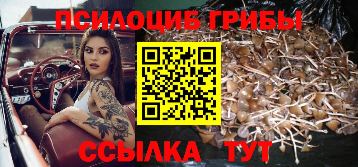 Чехов  где купить наркоту  Вход с VPN  Галлюциногенные грибы прущие грибы 